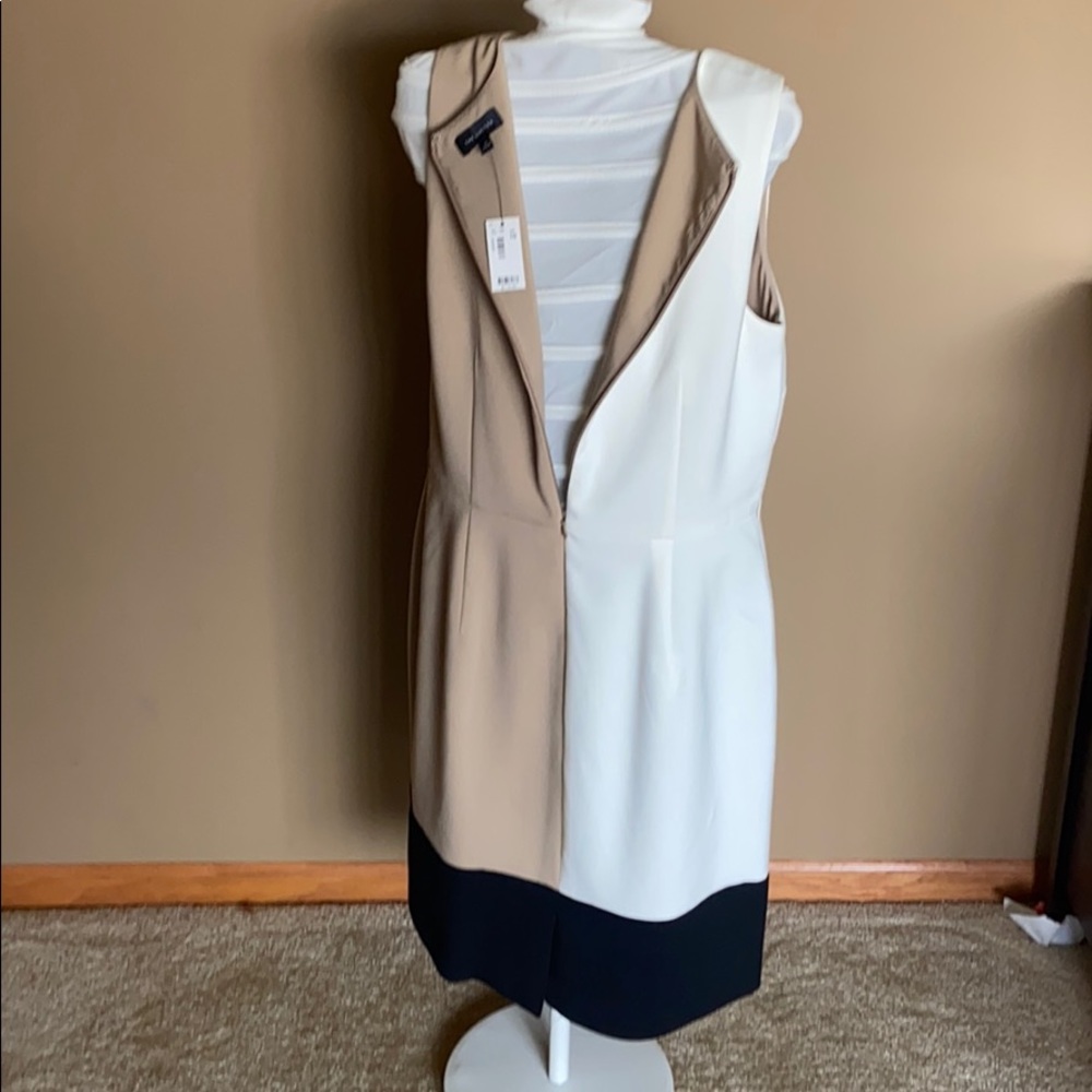 Limited Color Block Dress